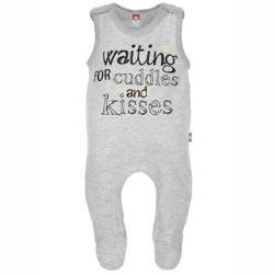 Śpioch szary Waiting For Cuddles And Kisses