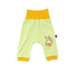 Półśpiochy melonowe z zebrą