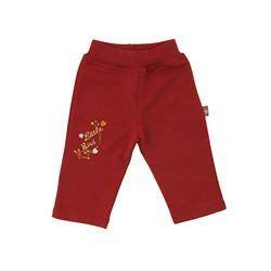 Spodnie bordowe Little Bird