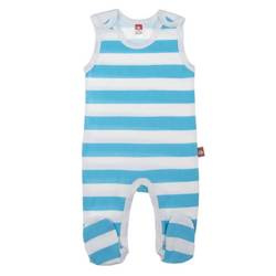 Śpioch szary w turkusowe paski