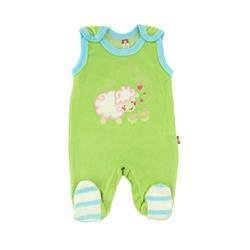 Śpioch limonkowy z owieczką