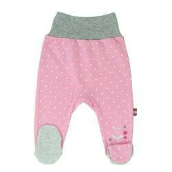 Półśpiochy różowe w jasne kropki