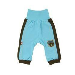 Półśpiochy turkusowe z ciemnymi paskami.