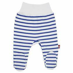 Półśpiochy w szafirowe paski